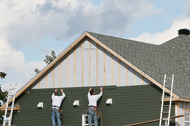 Best Vinyl Siding Installation  in Morrisonvle, IL